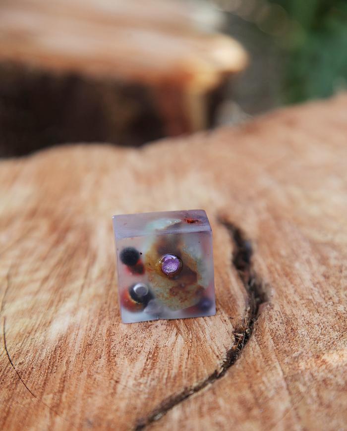 'nature's bounty' semi-transparent statement art ring